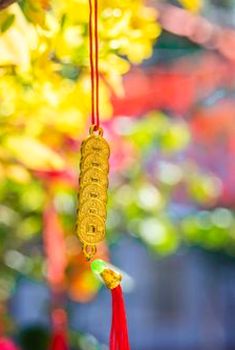 chắn di động Kubet